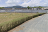 Land for sale in Choeng Thale, Phuket
