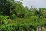 Land for sale in Mai Khao, Phuket