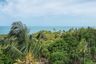 Land for sale in Maret, Surat Thani