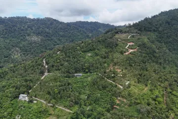 Land for sale in Lipa Noi, Surat Thani