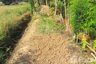 Land for sale in Inthakhin, Chiang Mai
