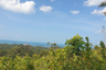 Land for sale in Ang Thong, Surat Thani