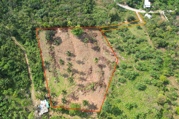 Land for sale in Ang Thong, Surat Thani