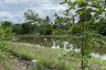 Land for sale in Huai Sai Nua, Phetchaburi