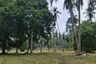 Land for sale in Na Mueang, Surat Thani