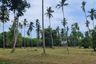 Land for sale in Na Mueang, Surat Thani