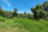 Land for sale in Maret, Surat Thani