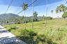 Land for sale in Mae Nam, Surat Thani