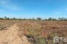Land for sale in Nai Mueang, Nakhon Ratchasima