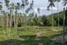 Land for sale in Mae Nam, Surat Thani