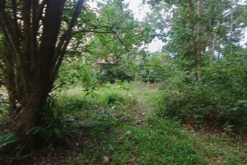 Land for sale in Mae Nam, Surat Thani