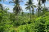 Land for sale in Na Mueang, Surat Thani