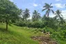 Land for sale in Na Mueang, Surat Thani