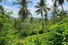 Land for sale in Na Mueang, Surat Thani