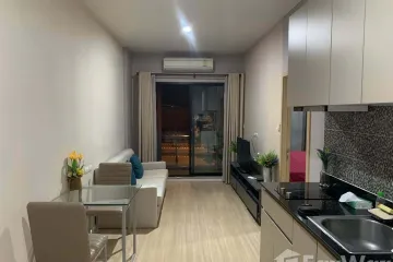1 Bedroom Condo for rent in Tha Sala, Chiang Mai