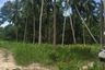Land for sale in Lipa Noi, Surat Thani
