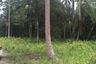 Land for sale in Lipa Noi, Surat Thani