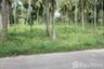 Land for sale in Lipa Noi, Surat Thani