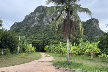 Land for sale in Na Yang, Phetchaburi