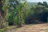 Land for sale in Sattahip, Chonburi
