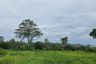 Land for sale in Ang Thong, Surat Thani