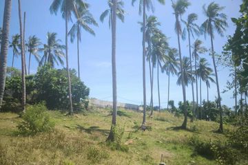 Land for sale in Mae Nam, Surat Thani