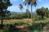 Land for sale in Na Mueang, Surat Thani