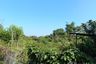 Land for sale in Ban Klang, Chiang Mai