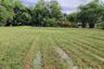 Land for sale in Sa-nga Ban, Chiang Mai