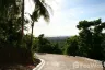 Land for sale in Lipa Noi, Surat Thani