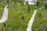 Land for sale in Mae Nam, Surat Thani