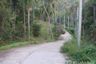 Land for sale in Mae Nam, Surat Thani