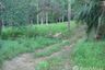 Land for sale in Mae Nam, Surat Thani