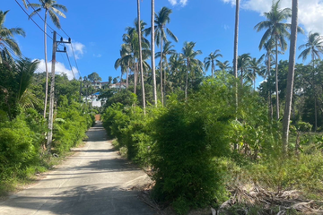 Land for sale in Mae Nam, Surat Thani