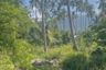 Land for sale in Mae Nam, Surat Thani