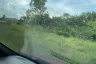Land for sale in Sam Phraya, Phetchaburi