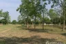Land for sale in Han Kaeo, Chiang Mai