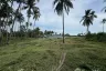 Land for sale in Na Mueang, Surat Thani