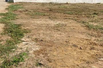 Land for sale in Ton Pao, Chiang Mai