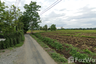 Land for sale in Pa Pong, Chiang Mai