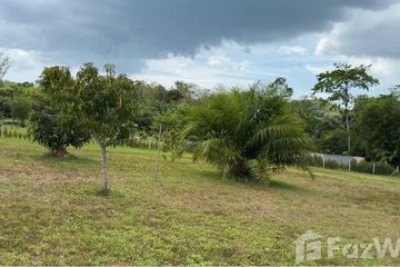 Land for sale in Lo Yung, Phang Nga