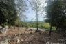 Land for sale in Bo Phut, Surat Thani