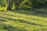 Land for sale in Taling Ngam, Surat Thani