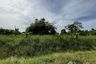 Land for sale in Sam Wa Tawan Ok, Bangkok