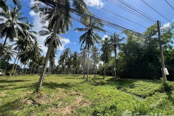 Land for sale in Na Mueang, Surat Thani