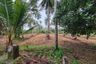 Land for sale in Mai Khao, Phuket