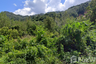 Land for sale in Choeng Thale, Phuket