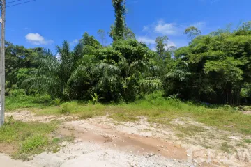 Land for sale in Choeng Thale, Phuket
