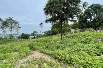 Land for sale in Bo Phut, Surat Thani
