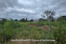 Land for sale in Surasak, Chonburi